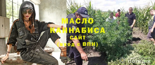 ГАЛЛЮЦИНОГЕННЫЕ ГРИБЫ Няндома
