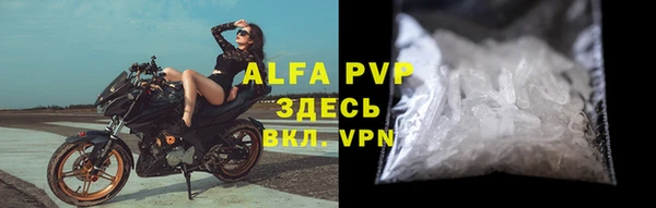 ГАЛЛЮЦИНОГЕННЫЕ ГРИБЫ Няндома